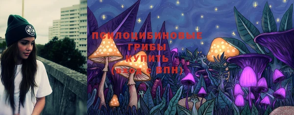mdpv Арсеньев