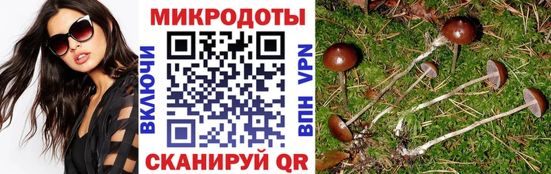 Псилоцибиновые грибы Cubensis продажа наркотиков Оленегорск